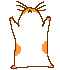 Hamster